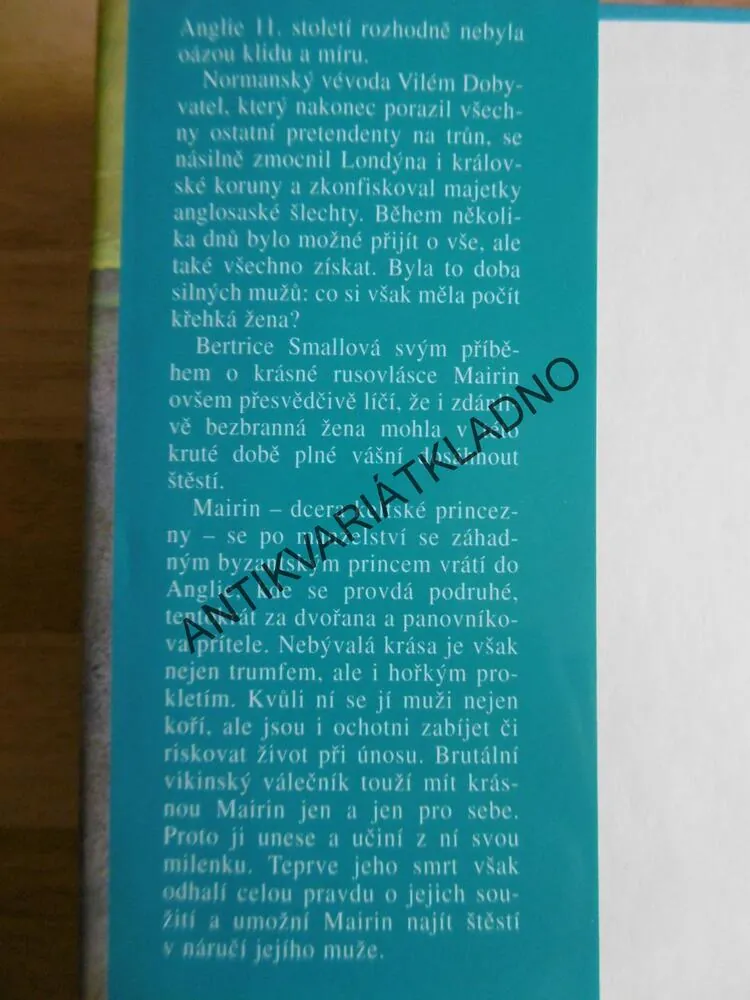 MÁ ČARODĚJKA, BERTRICE SMALL, 