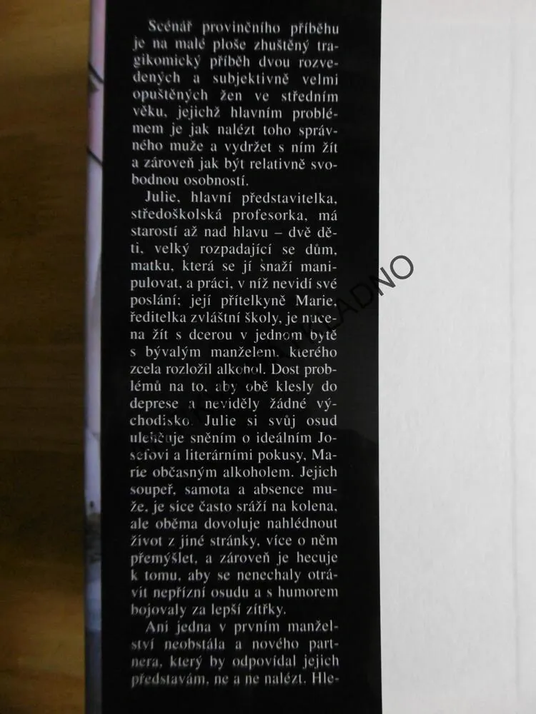 SCÉNÁŘ PROVINČNÍHO PŘÍBĚHU, TÁŇA NÁLEPKOVÁ, **an