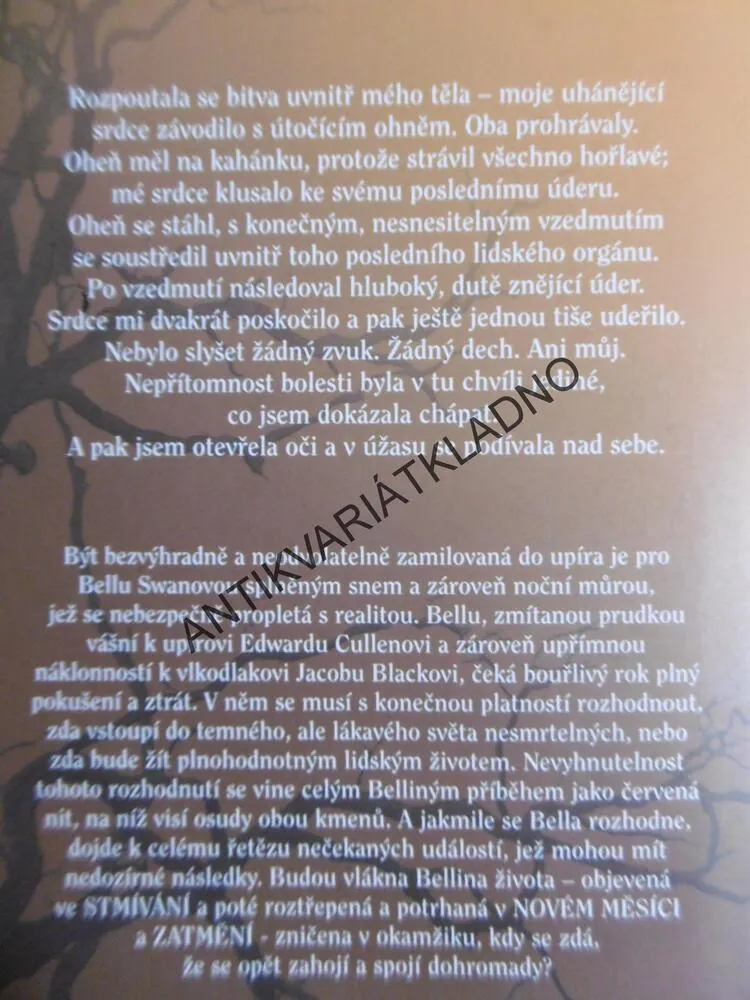ROZBŘESK, STMÍVÁNÍ, STEPHENIE MEYEROVÁ,, **an
