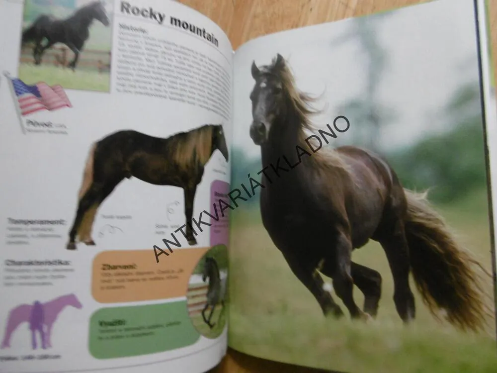 SVĚT KONÍ A PONÍKŮ, CYNTHIA MCFARLAND