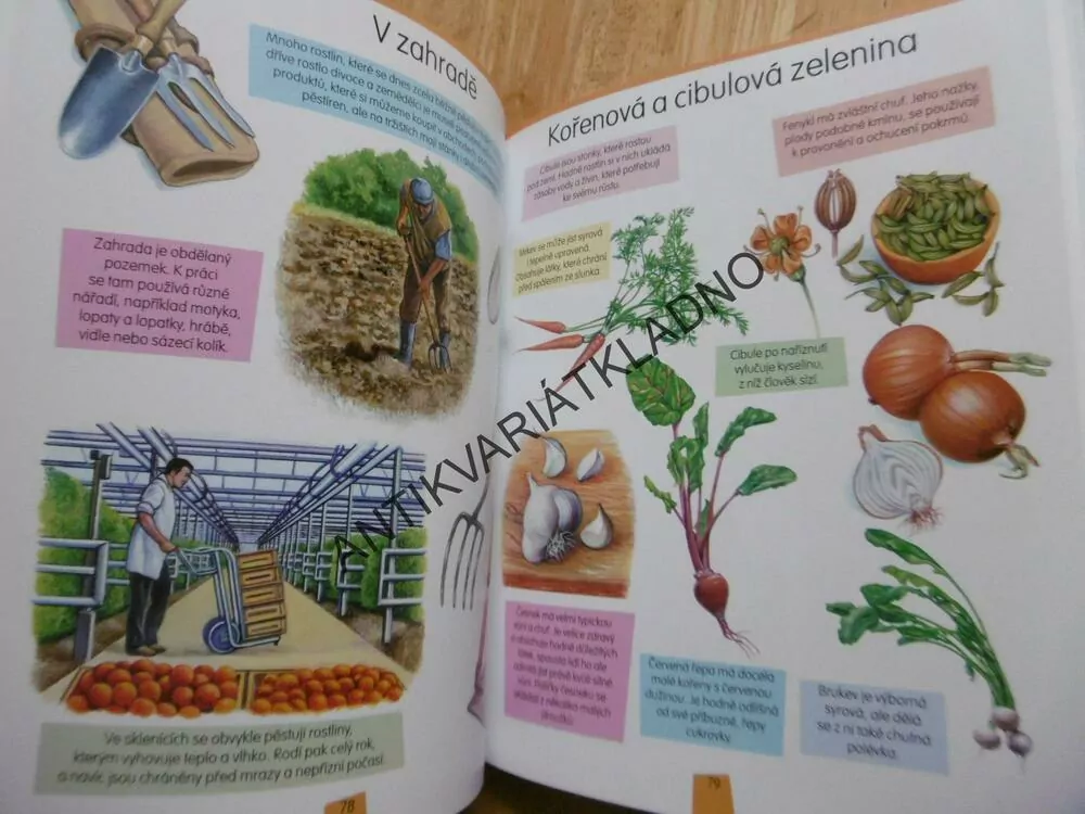 ENCYKLOPEDIE ŽIVOT NA VENKOVĚ, ZVÍŘATA A ROSTLINY, PŘÍRODA, **an