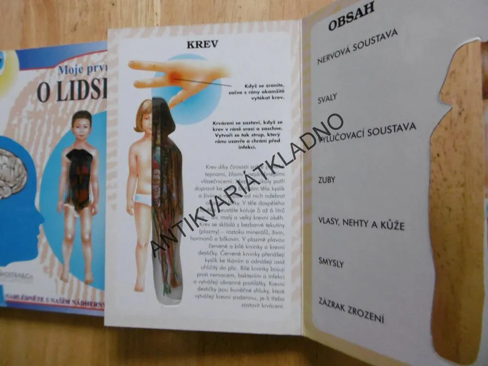 MOJE PRVNÍ KNIHA O LIDSKÉM TĚLE, **an