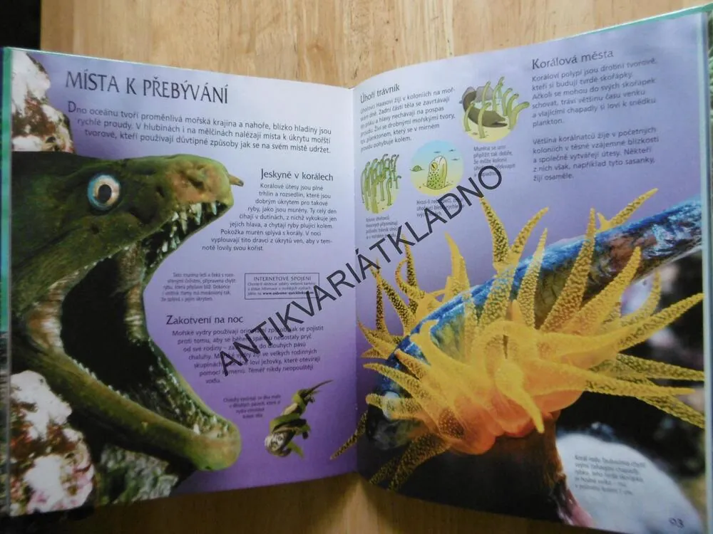 TAJEMSTVÍ A ZÁZRAKY PŘÍRODY S PROPOJENÍM NA INTERNET, **an