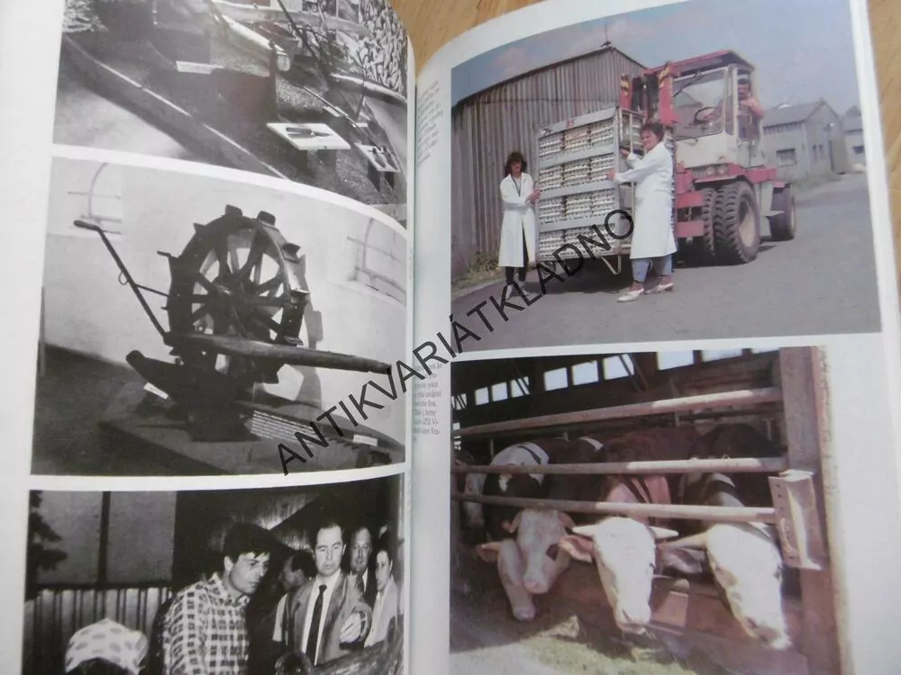 ČTYŘICET LET SOCIALISTICKÉHO ZEMĚDĚLSTVÍ KLADENSKA, OKR. KLADNO,ŠPECINGER 1989, **an