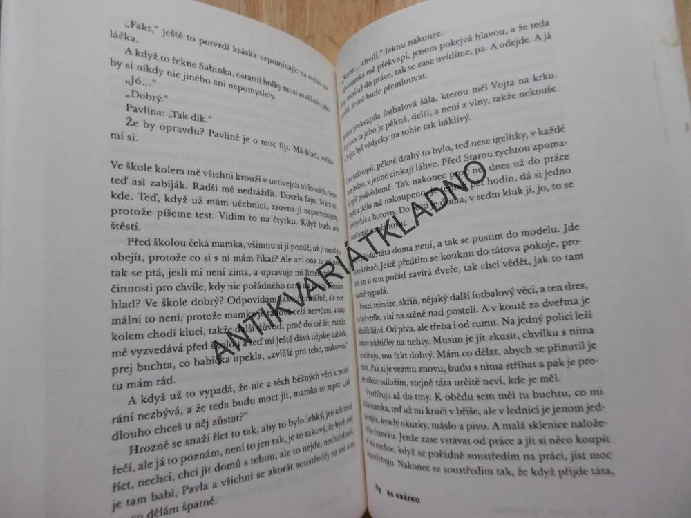 ZMIZET, PETRA SOUKUPOVÁ, **an
