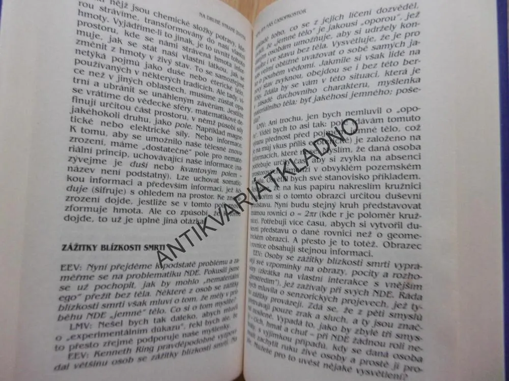 NA DRUHÉ STRANĚ ŽIVOTA, EVELYN ELSAESSER VALARINO