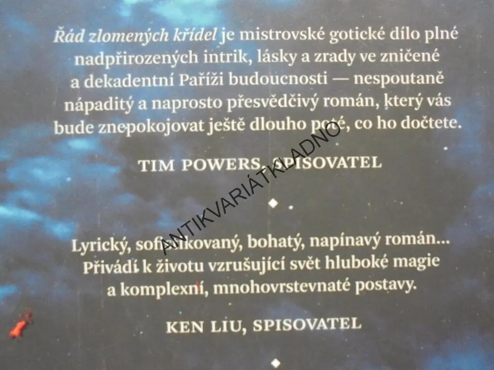 ŘÁD ZLOMENÝCH SRDCÍ,DE BODAROVÁ, DOMINIUM PADLÝCH