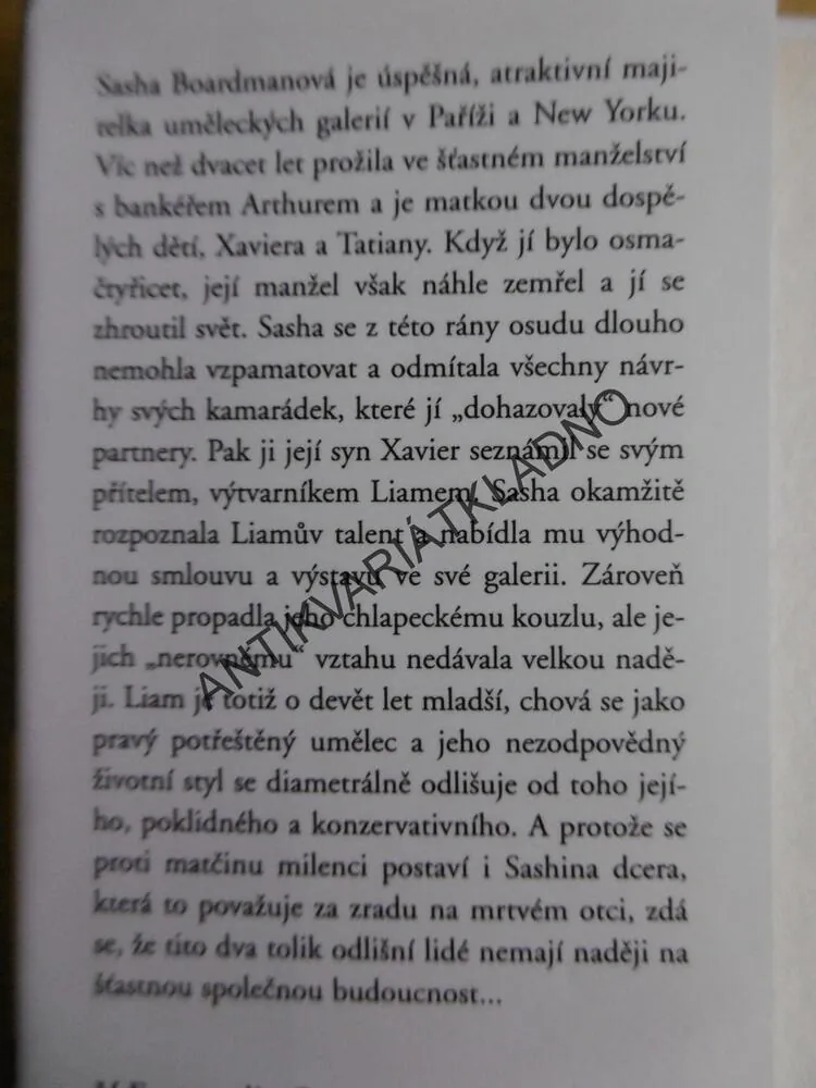 NEROVNÝ VZTAH, DANIELLE STEEL, **an
