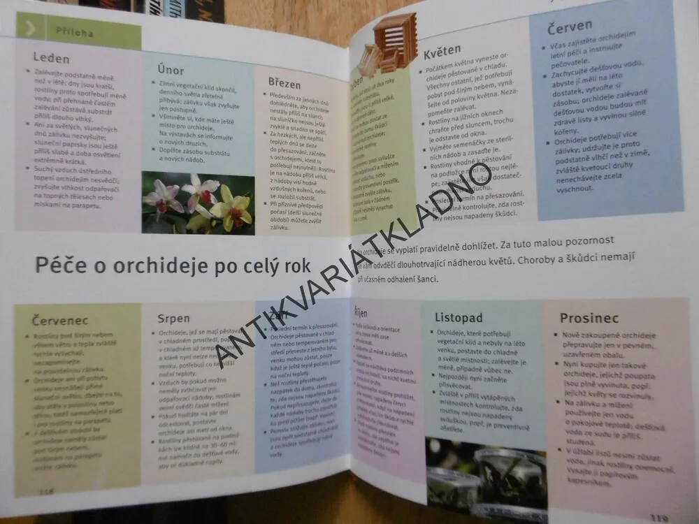 ORCHIDEJE, KROK ZA KROKEM K EXOTICKÉ KRÁSE KVĚTIN, FRANK RÖLLKE, ZAHRADA PRO RADOST