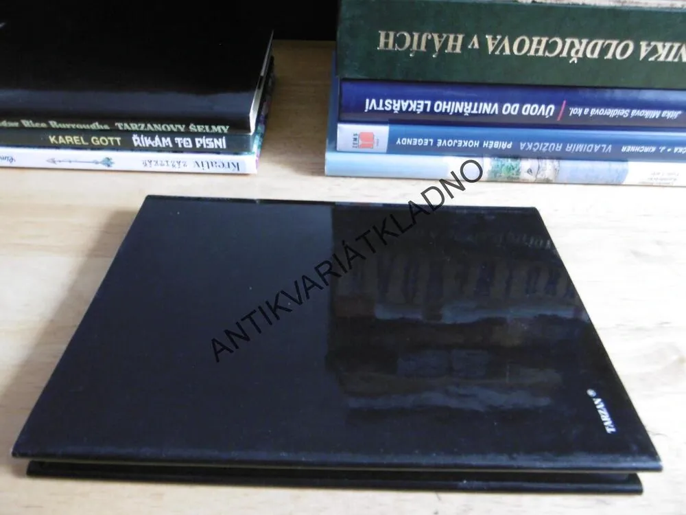 TARZAN TARZANŮV NÁVRAT, 2., DOBRODRUŽSTVÍ LORDA GREYSTOKA, EDGAR RICE BURROUGHS, **an