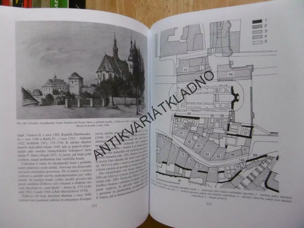 HRADY, KASTELOVÉHO TYPU 13.STOLETÍ VE STŘEDNÍ EVROPĚ, TOMÁŠ DURDÍK