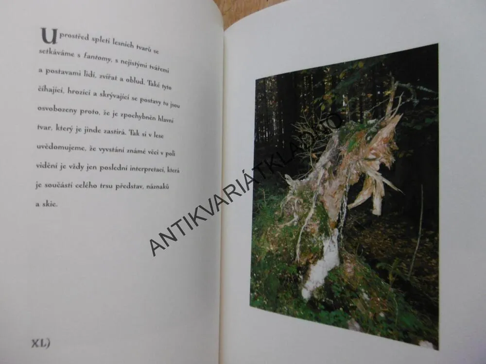 TICHÉ LABYRINTY, PETR HRUŠKA, MICHAL AJVAZ, **an