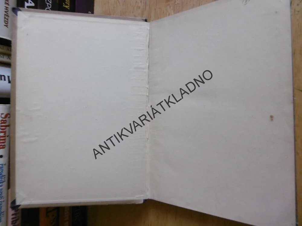 S MAMINKOU U TATARŮ, VÁCLAV VALENTA-ALFA, 1924,A JINÉ POVÍDKY Z VOJNY