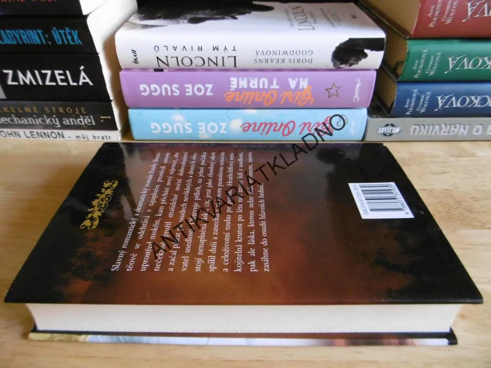 NA VĚTRNÉ HŮRCE, ANNE BRONTËOVÁ, **an