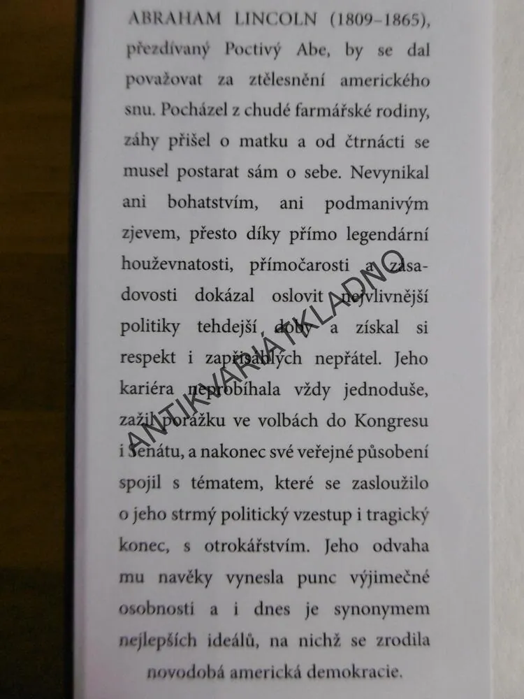 LINCOLN, TÝM RIVALŮ, DORIS KEARNS GOODWINOVÁ, ABRAHAM LINCOLN
