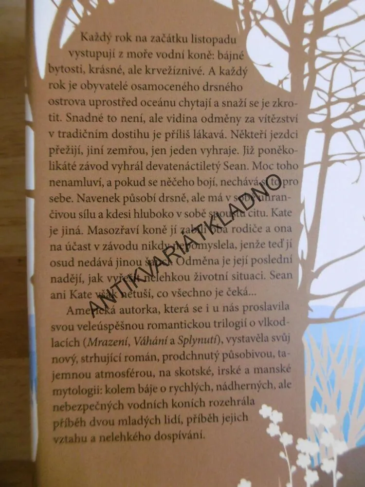 VE ZNAMENÍ ŠTÍRA, MAGGIE STIEFVATEROVÁ