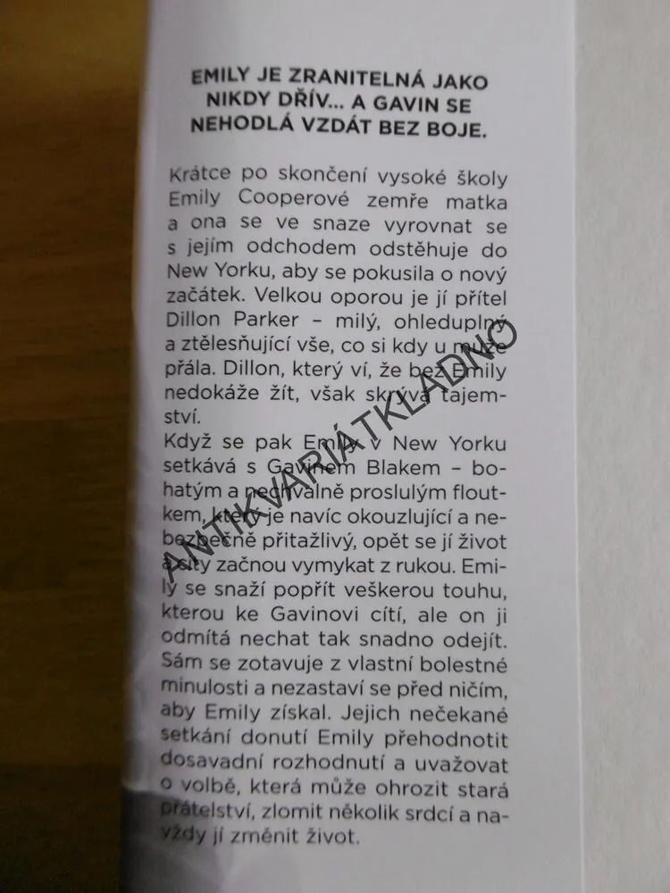 NEČEKANÉ SETKÁNÍ, GAIL MCHUGHOVÁ