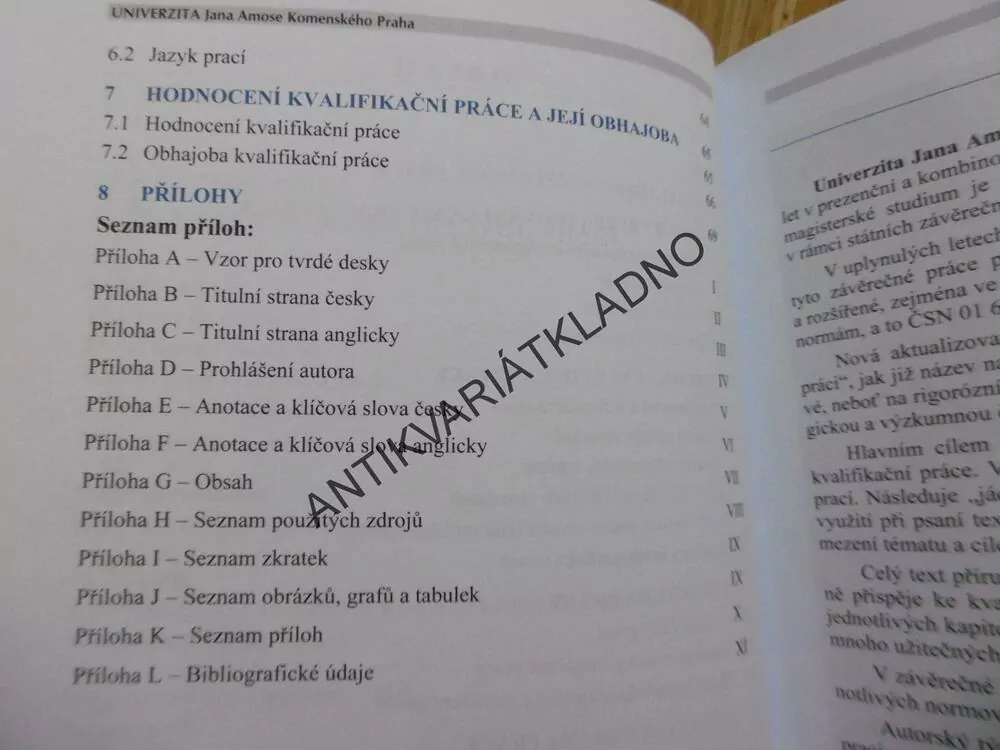 JAK VYPRACOVAT BAKALÁŘSKOU A DIPLOMOVOU PRÁCI, UNIVERZITA,