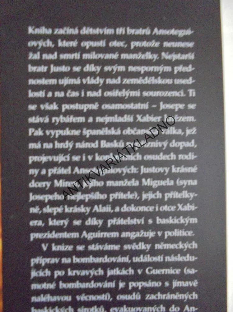 GUERNICA, ŠPANĚLSKÁ OBČANSKÁ VÁLKA, DAVE BOLING, **an