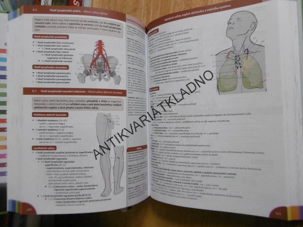MEMORIX ANATOMIE, RADOVAN HUDÁK, KACHLÍK, 4.VYDÁNÍ, 2019