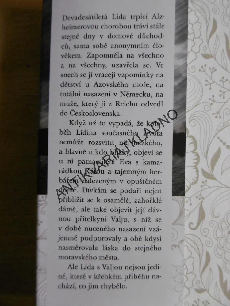LIZUCHA, LENKA JURÁČKOVÁ, **an