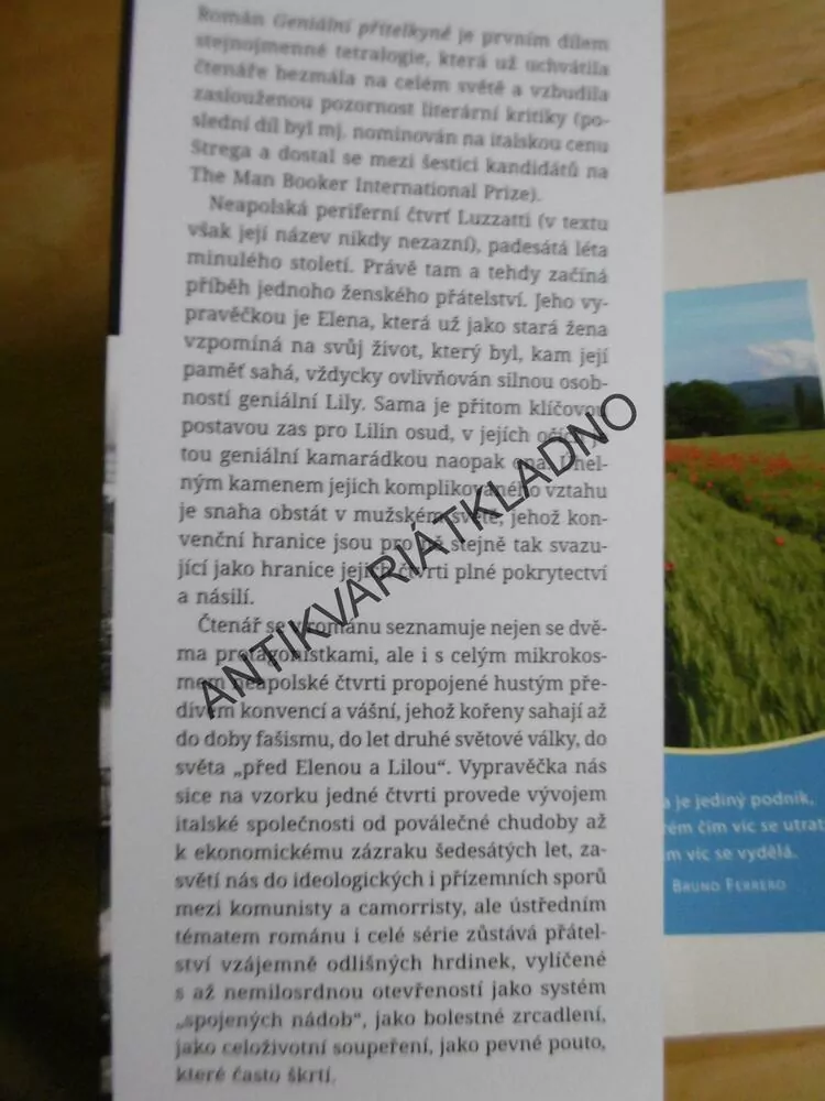 GENIÁLNÍ PŘÍTELKYNĚ,1., ELENA FERRANTE, **an