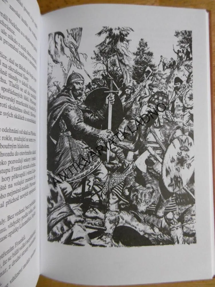 ZASTAVENÝ PŘÍVAL, EDUARD ŠTORCH, 2006,