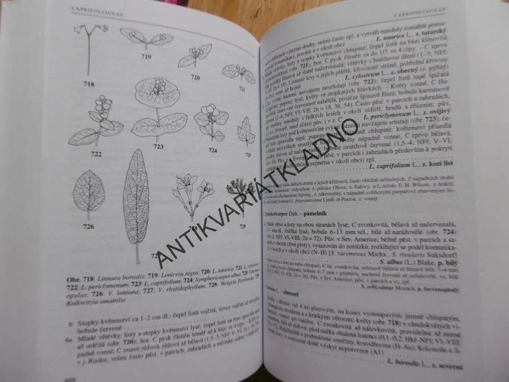 KLÍČ KE KVĚTENĚ ČESKÉ REPUBLIKY,KVĚTINY, ROSTLINY, **an