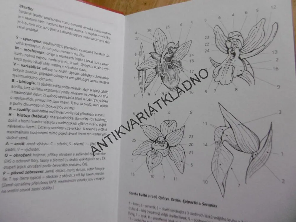 ORCHIDEJE EVROPY A PŘILEHLÝCH OBLASTÍ, ATLAS ACADEMIA, KVĚTINY, ROSTLINY