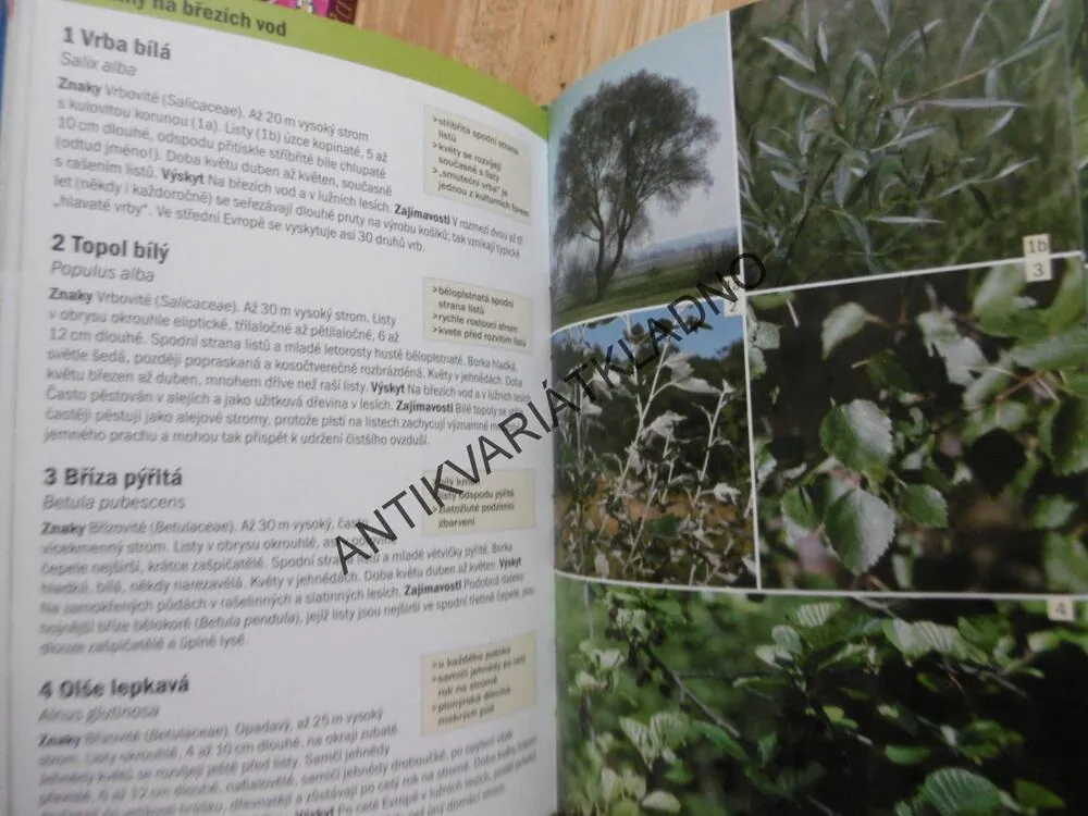 POZNÁVÁME ZVÍŘATA A ROSTLINY U VODY, HECKER, PRŮVODCE PŘÍRODOU, 140 DRUHŮ, **an