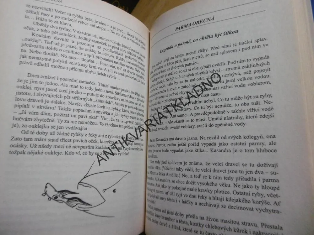 O RYBÁCH, RYBÁŘÍCH ANEB POVÍDKY Z RÁKOSÍ II, MALANÍK,