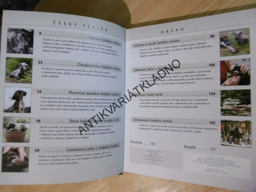 ČESKÝ TERIÉR, HANA PETRUSOVÁ, **an