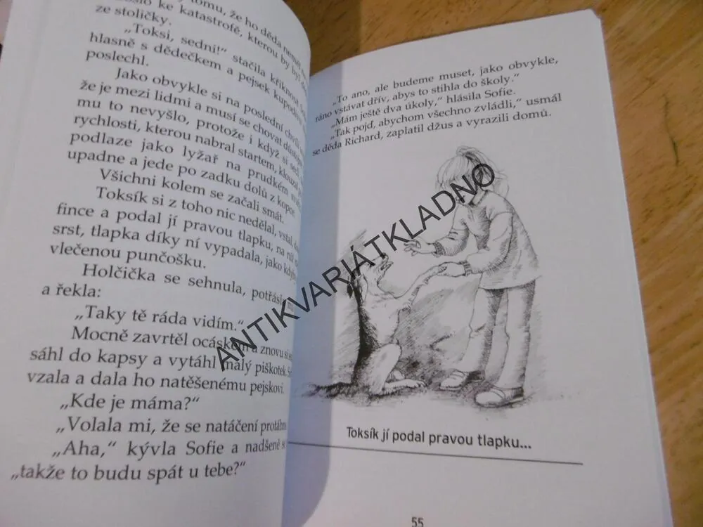 SOFINKA, DĚDA A MLUVÍCÍ PES, VLADO RÍŠA, **an