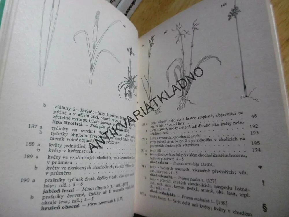 BOTANICKÝ KLÍČ, FAUSTUS, POLÍVKA,BOTANIKA, **an