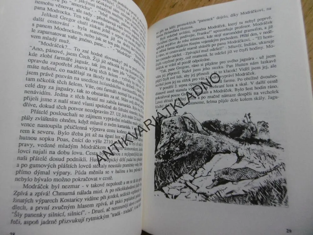 SÁZKA V KLUBU AGS, OTAKAR BATLIČKA, KONEČNÝ, 1991