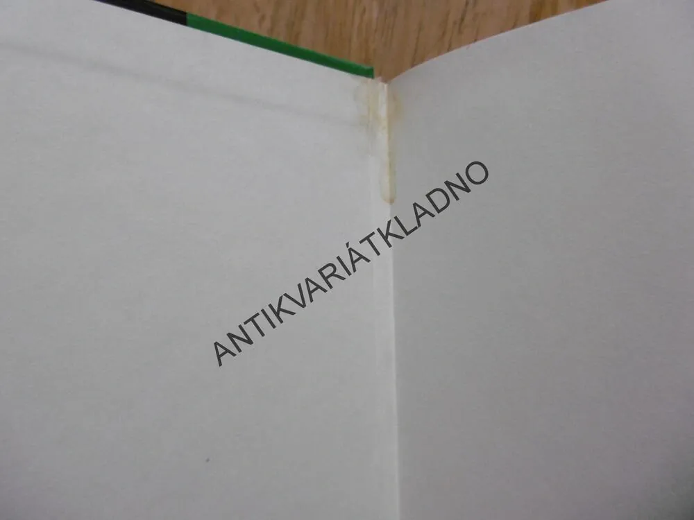 MUŽ NA ŠPINAVOU PRÁCI, PETR EIDLER, **an