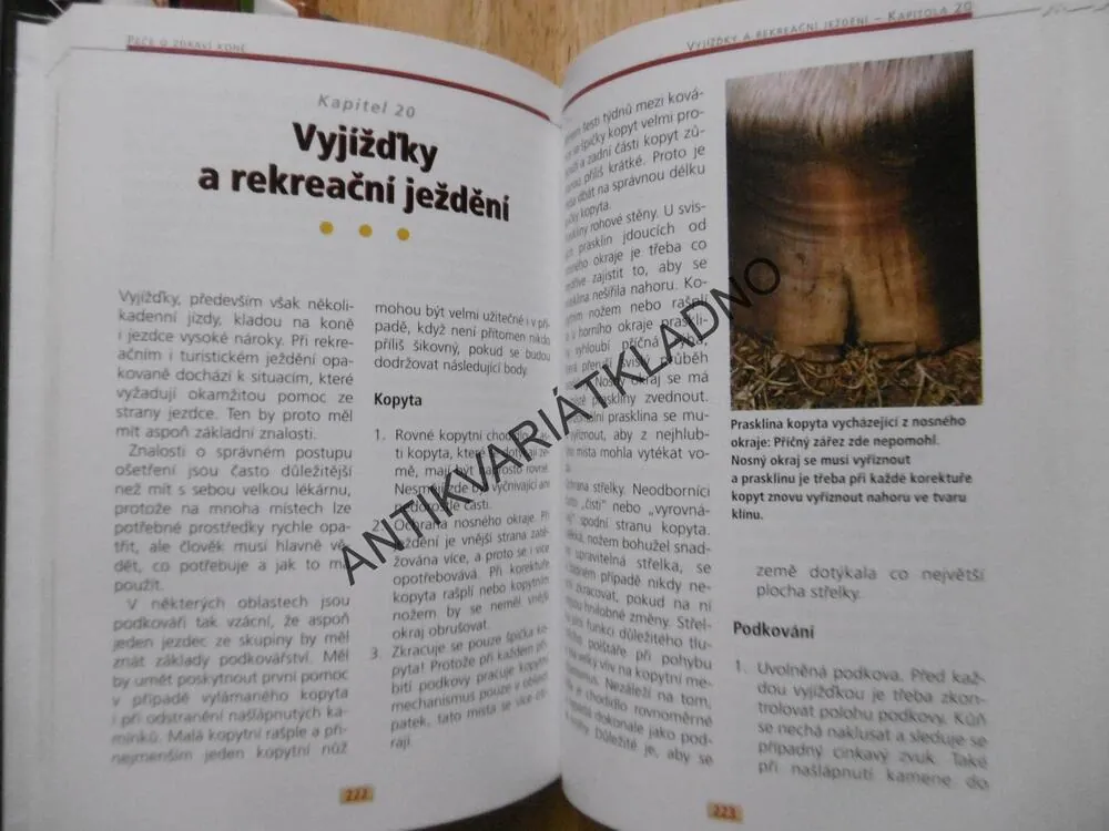 PÉČE O ZDRAVÍ KONĚ, HELMUT ENDE, EWLAD ISENBÜGEL