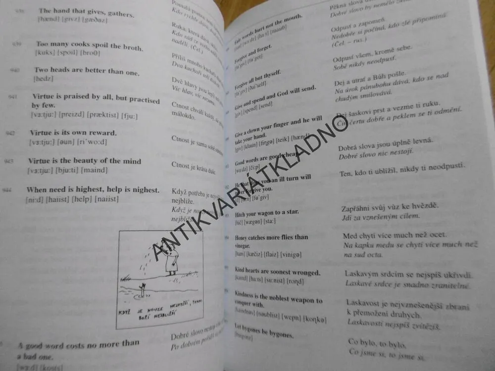 NEJUŽÍVANĚJŠÍ ANGLICKÁ PŘÍSLOVÍ, ANGLIČTINA, EVA LACINOVÁ