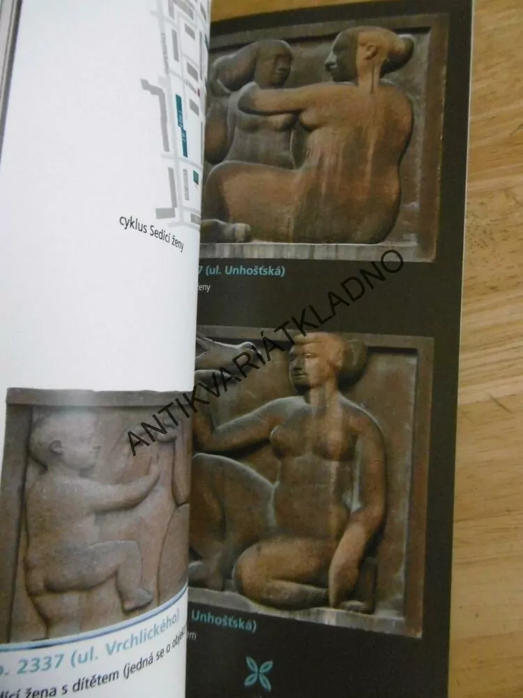 DOMY JAKO GALERIE, JAROSLAV VYKOUK, JAROSLAV VYŠÍN, **an