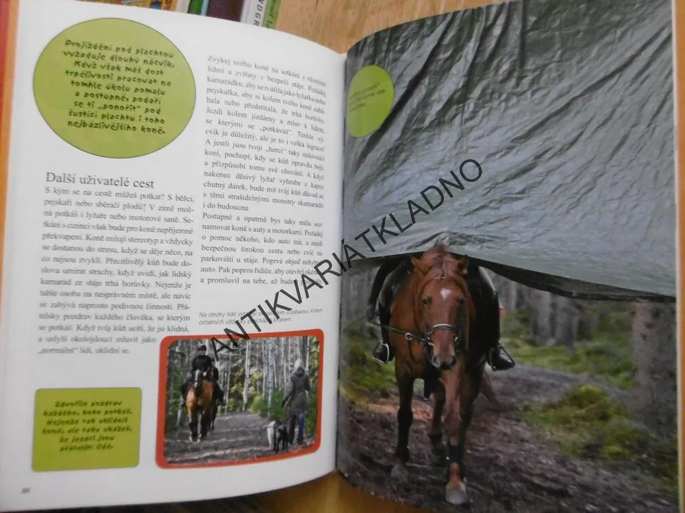 PARKUROVÉ SKÁKÁNÍ, TIINA VAINIKAINEN, **an