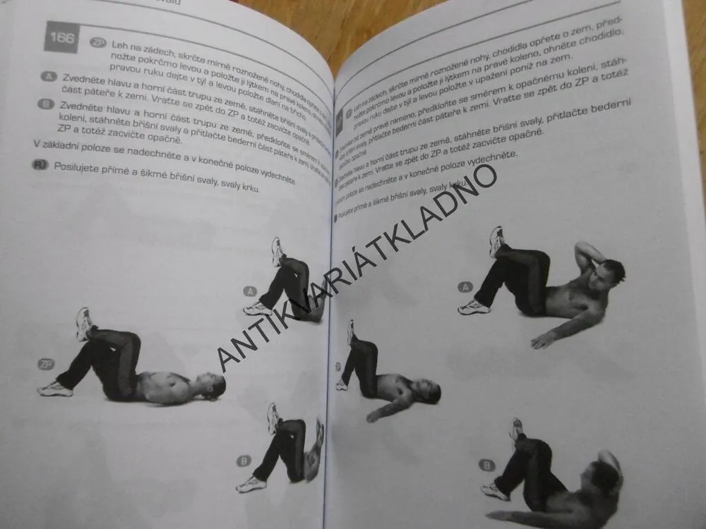 POSILOVÁNÍ S VLASTNÍM TĚLEM 417 KRÁT JINAK, FITNESS, SÍLA KONDICE, **an