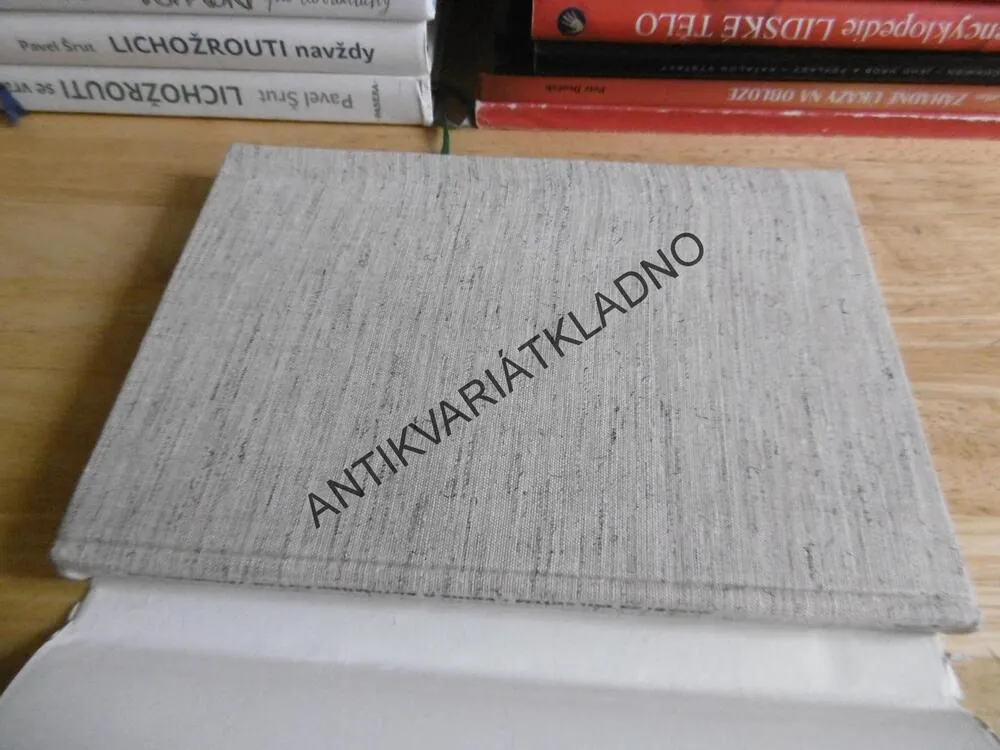 MISTŘI ZA VOLANTEM, MILOŠ SKOŘEPA, KNIHA O AUTOMOBILOVÝCH ZÁVODNÍCÍCH, **an