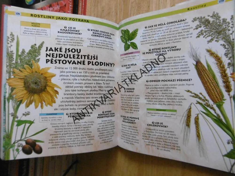 NEJVĚTŠÍ KNIHA OTÁZEK A ODPOVĚDÍ