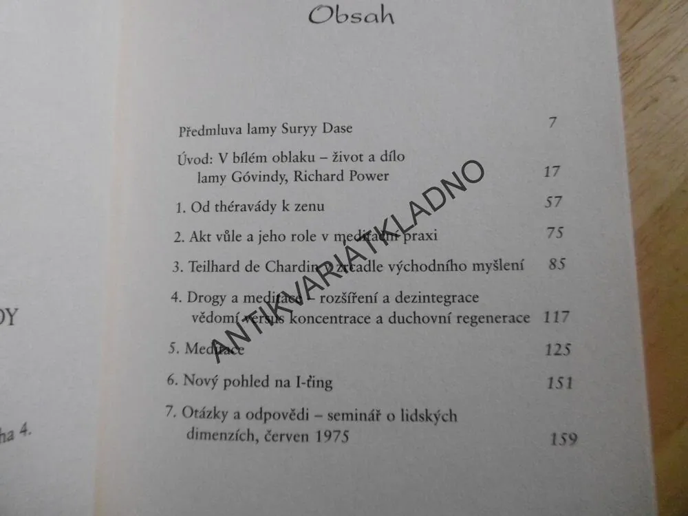 ZTRACENÉ UČENÍ LAMY GÓVINDY, ŽIVÁ MOUDROST MODERNÍHO TIBETSKÉHO MISTRA, RICHARD POWER