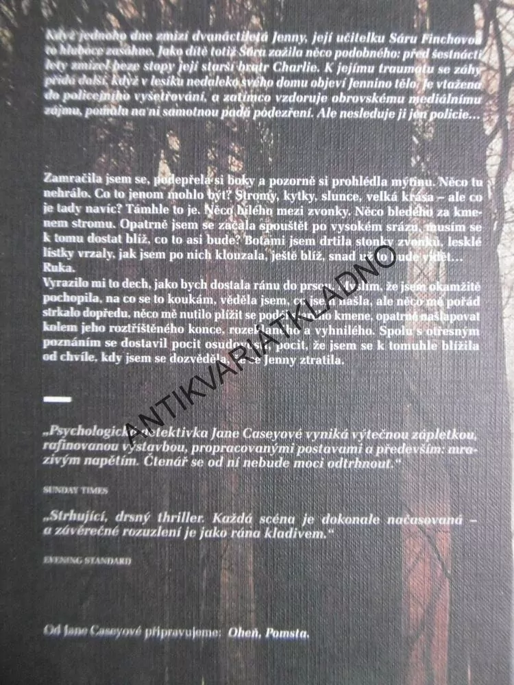 BEZE STOPY, JANE CASEYOVÁ, **an