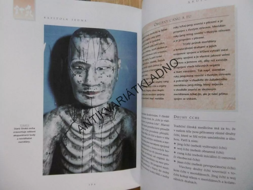 ENCYKLOPEDIE ČÍNSKÉ MEDICÍNY,DR. KAO TUO