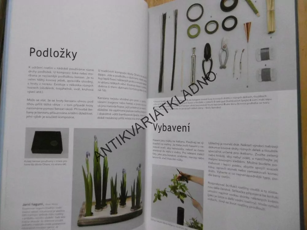 IKEBANA TVORBA KROK ZA KROKEM, CARTON, DIAS