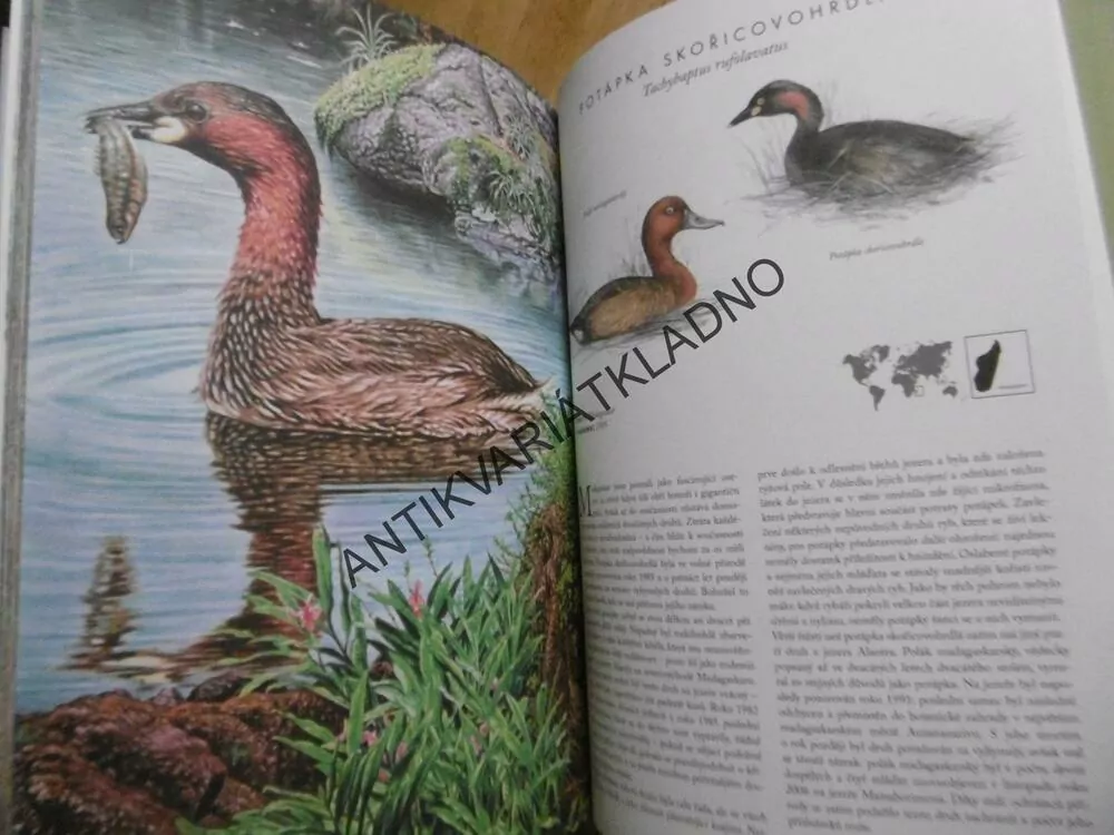 ATLAS VYHUBENÝCH ŽIVOČICHŮ, RADEK MALÝ, GRBAVČIČ, DVORSKÝ