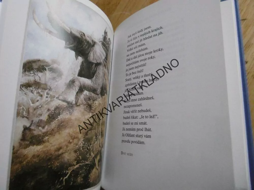 BÁSNĚ Z TRILOGIE PÁN PRSTENŮ, ALAN LEE, J.R.R. TOLKIEN