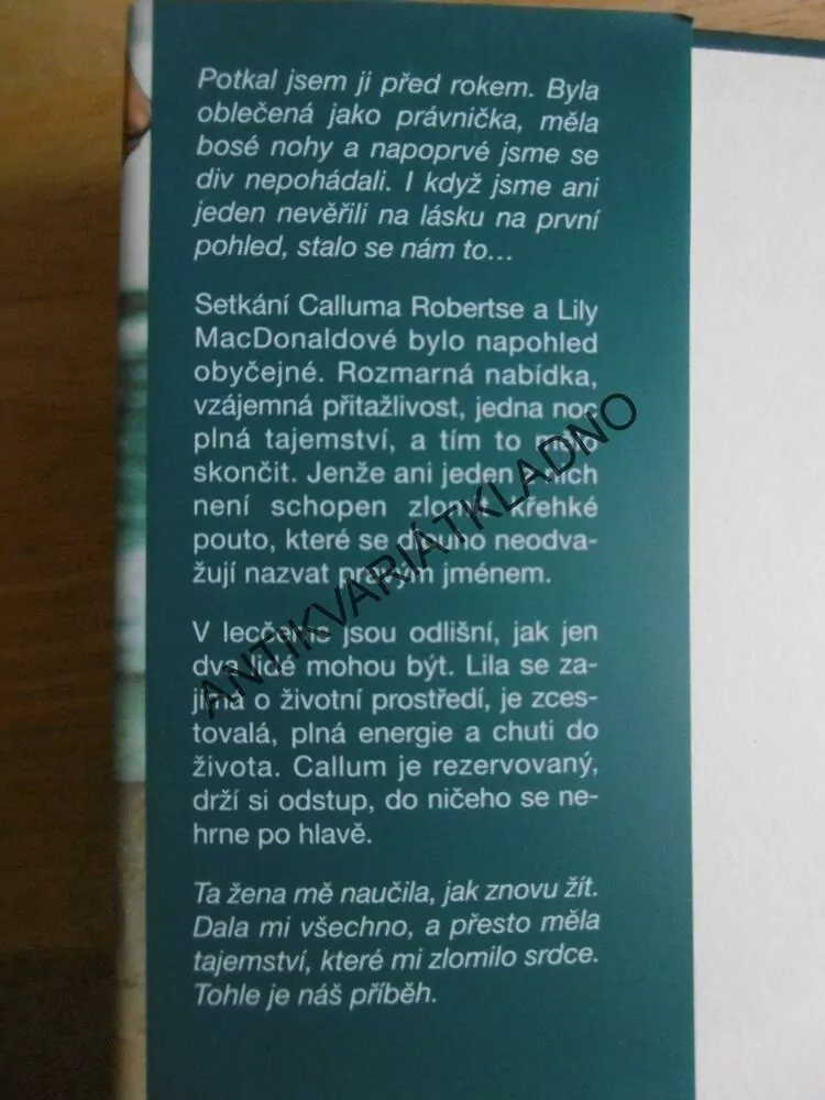 AŽ BUDU BEZ TEBE, KELLY RIMMEROVÁ, **an
